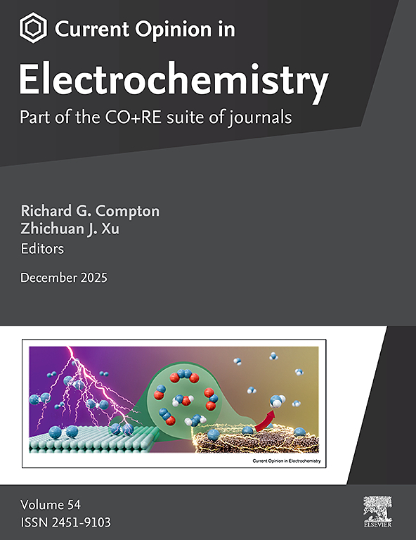 Current Opinion in Electrochemistry